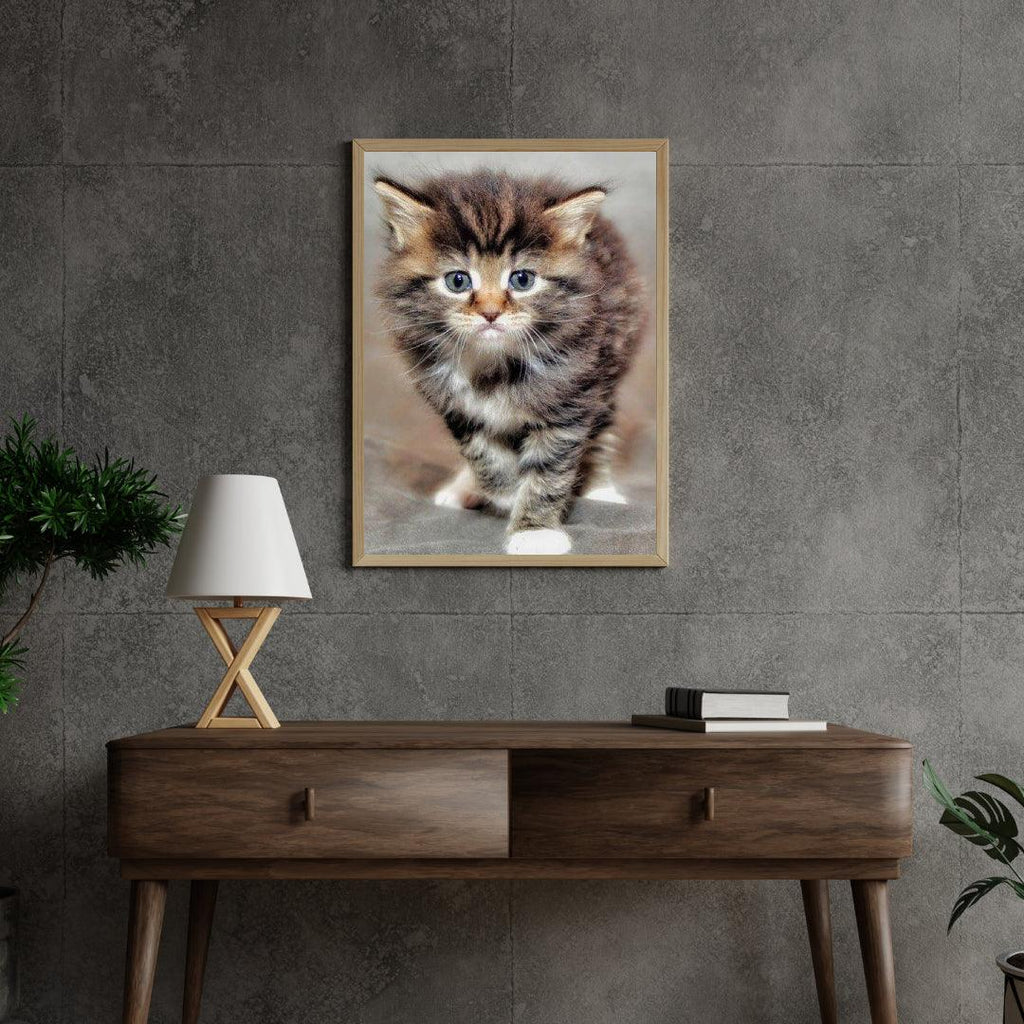 Diamond Painting Furry Kitten - SEOS Shop ®