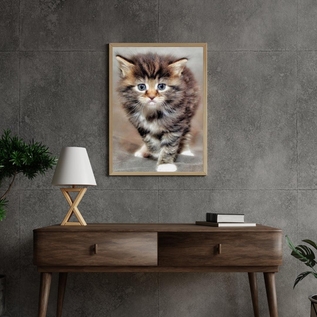 Diamond Painting Furry Kitten - SEOS Shop ®