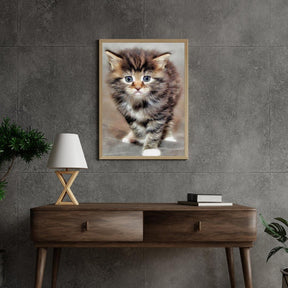 Diamond Painting Furry Kitten - SEOS Shop ®