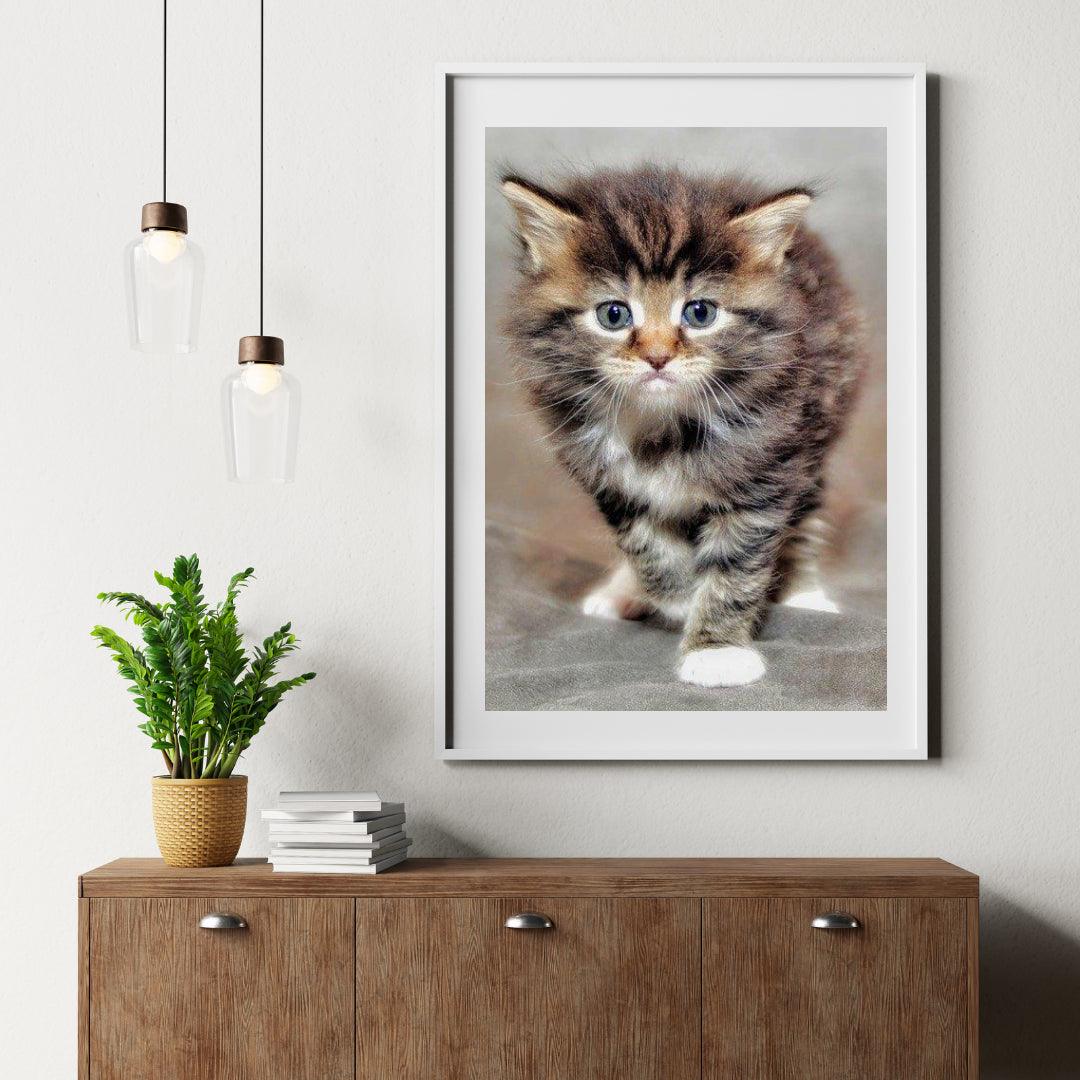Diamond Painting Furry Kitten - SEOS Shop ®