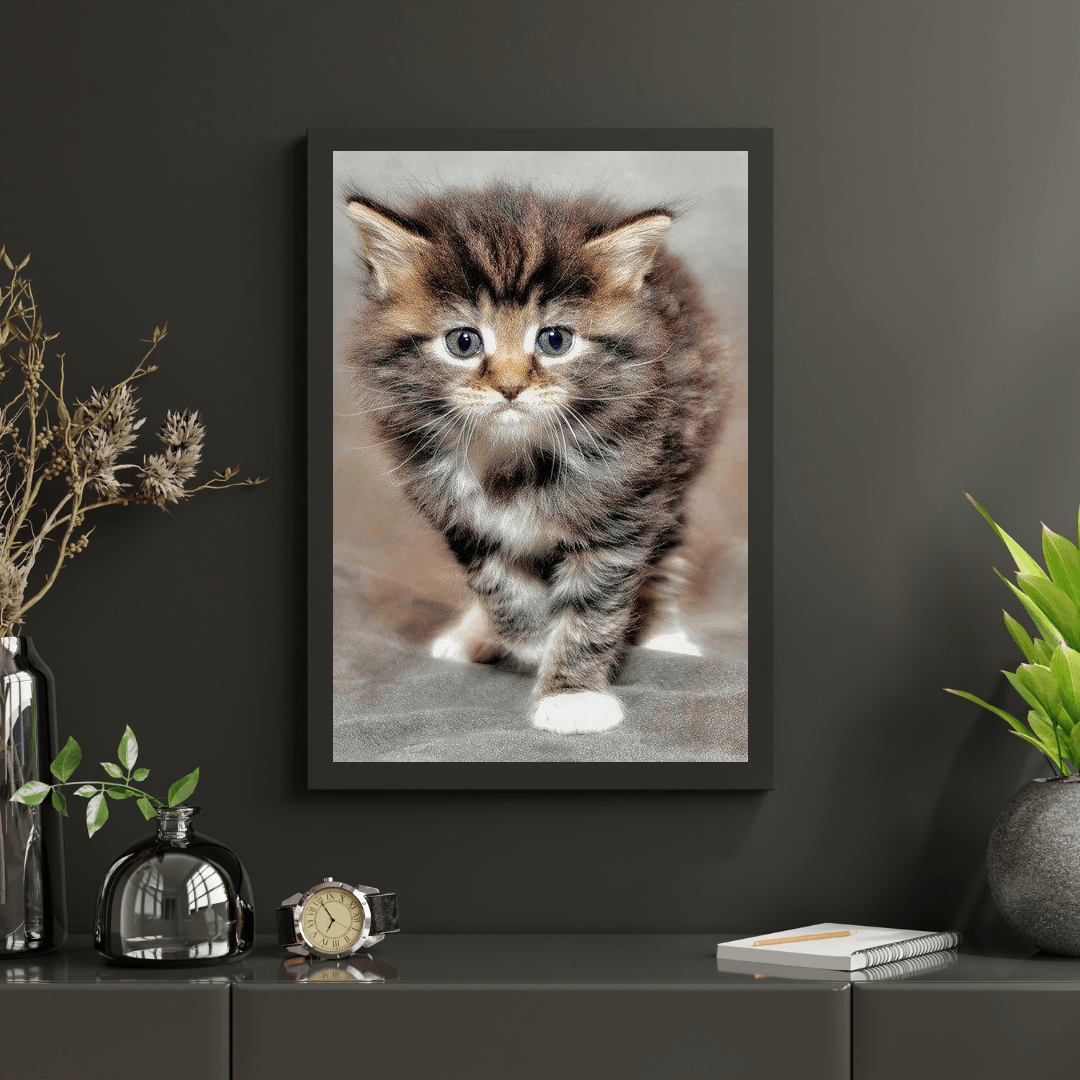 Diamond Painting Furry Kitten - SEOS Shop ®