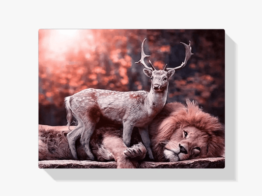 Diamantmalerei Hirsch auf Löwe - SEOS Shop ®