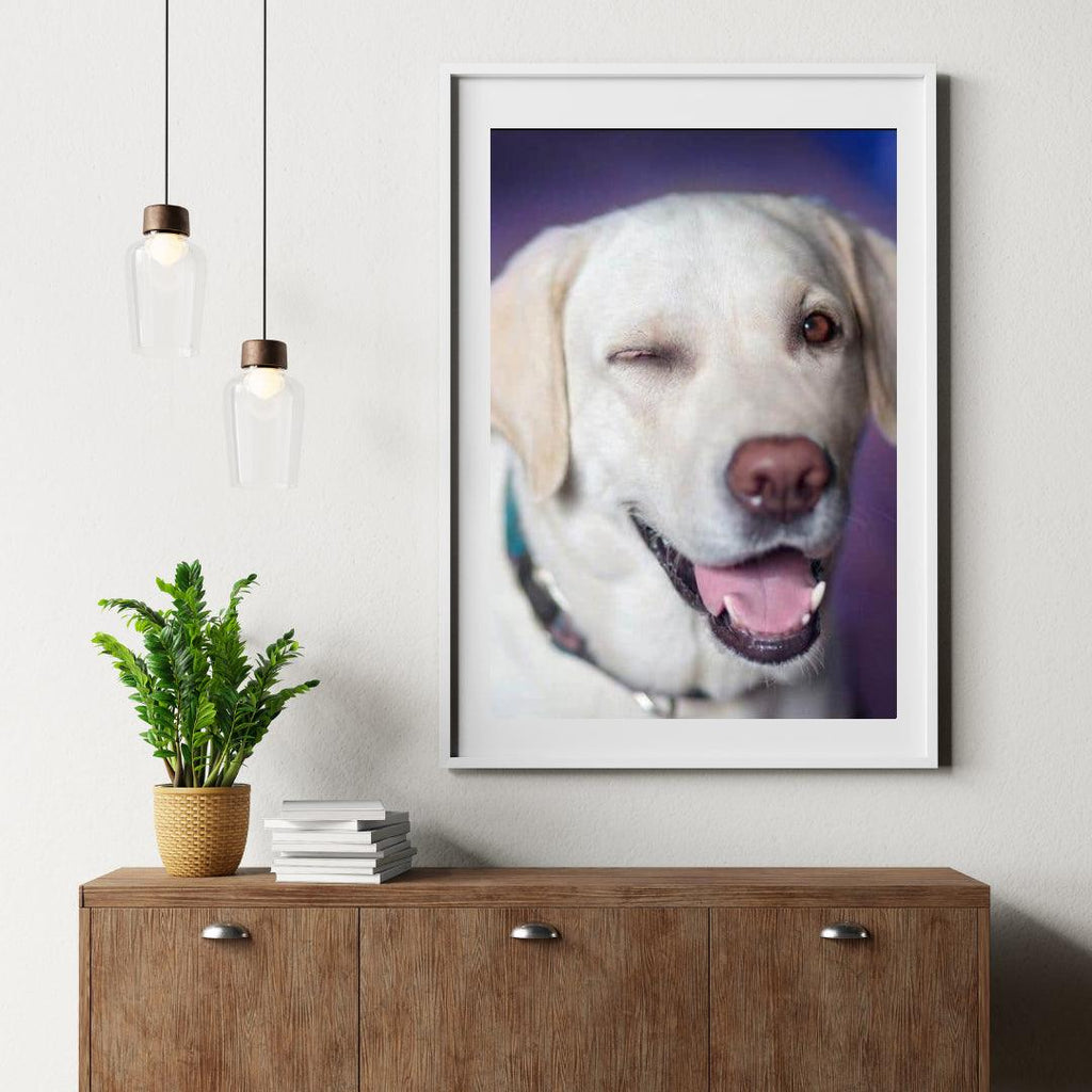 Diamond Painting Hund mit Zwinkern - SEOS Shop ®