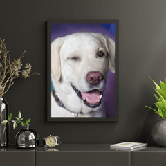 Diamond Painting Hund mit Zwinkern - SEOS Shop ®
