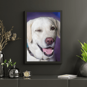 Diamond Painting Hund mit Zwinkern - SEOS Shop ®