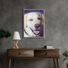 Diamond Painting Hund mit Zwinkern - SEOS Shop ®
