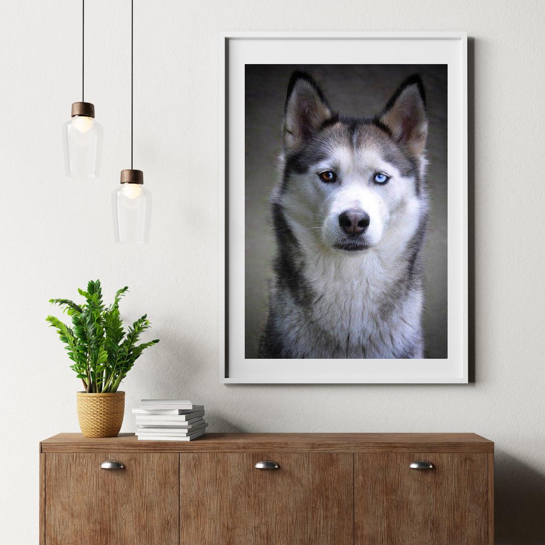 Diamond Painting Husky mit Hundeaugen - SEOS Shop ®
