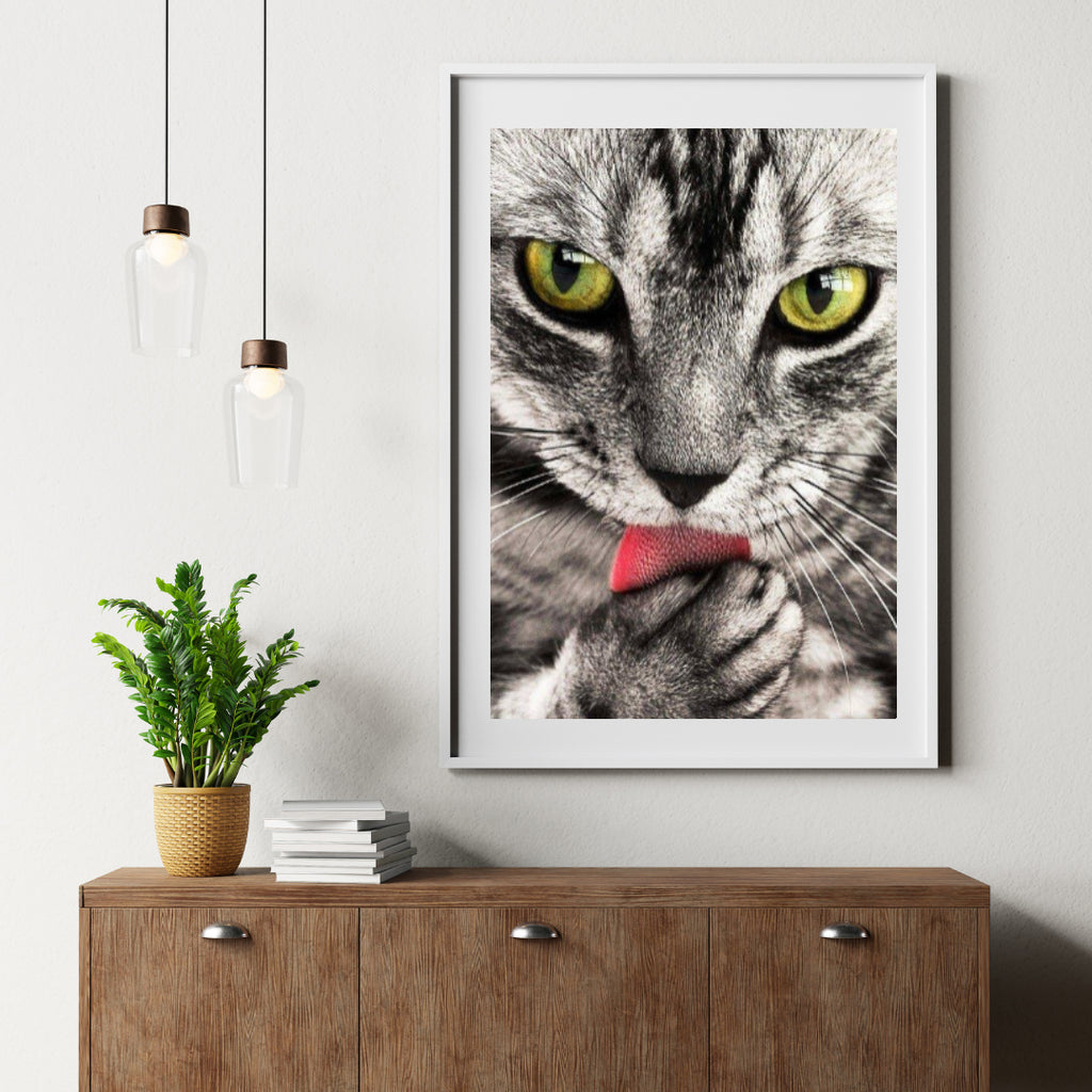 Diamond Painting Katze leckt Hand - SEOS Shop ®