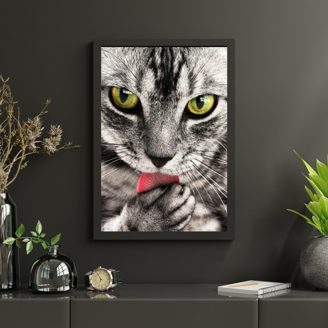 Diamond Painting Katze leckt Hand - SEOS Shop ®