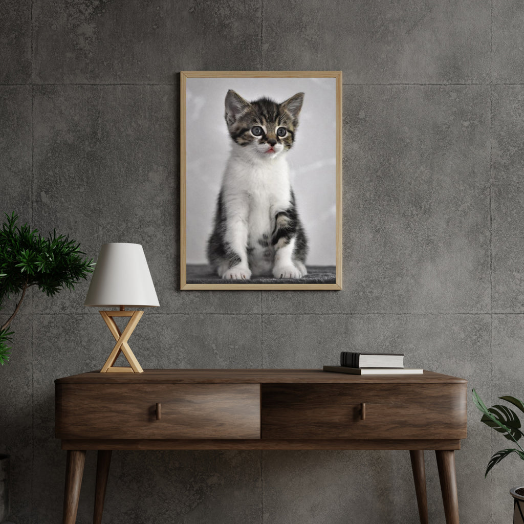 Diamond Painting Kätzchen mit grauen Augen - SEOS Shop ®