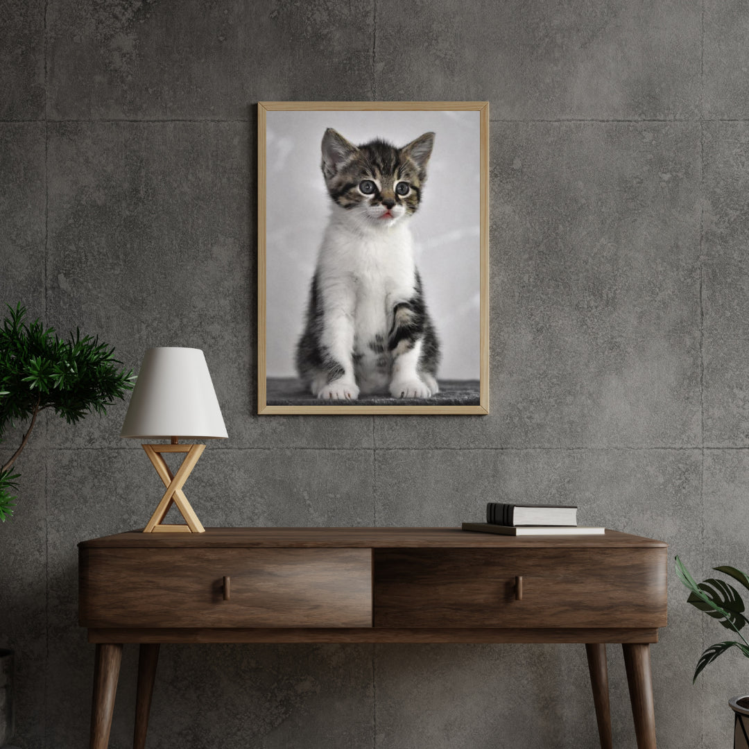 Diamond Painting Kätzchen mit grauen Augen - SEOS Shop ®