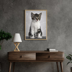 Diamond Painting Kätzchen mit grauen Augen - SEOS Shop ®