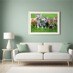 Diamond Painting Kittens Komplett - SEOS Shop ®