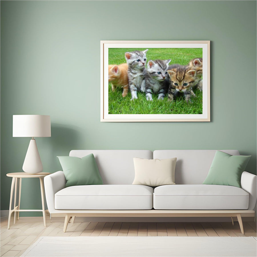Diamond Painting Kittens Komplett - SEOS Shop ®