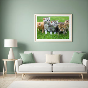 Diamond Painting Kätzchen Komplett - SEOS Shop ®