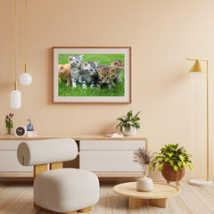 Diamond Painting Kittens Komplett - SEOS Shop ®