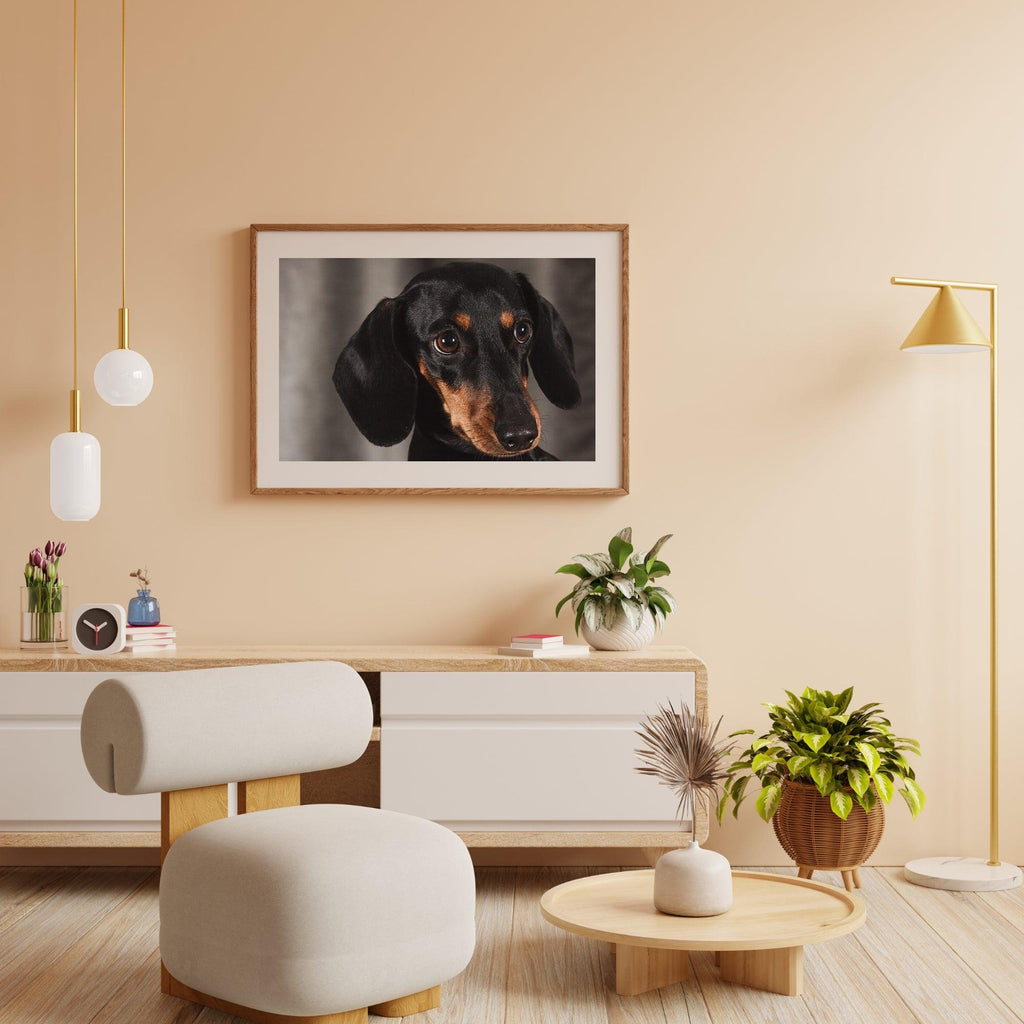 Diamond Painting Kleiner Dackel - SEOS Shop ®