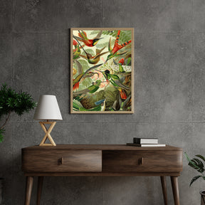 Diamantmalerei Kolibris - SEOS Shop ®