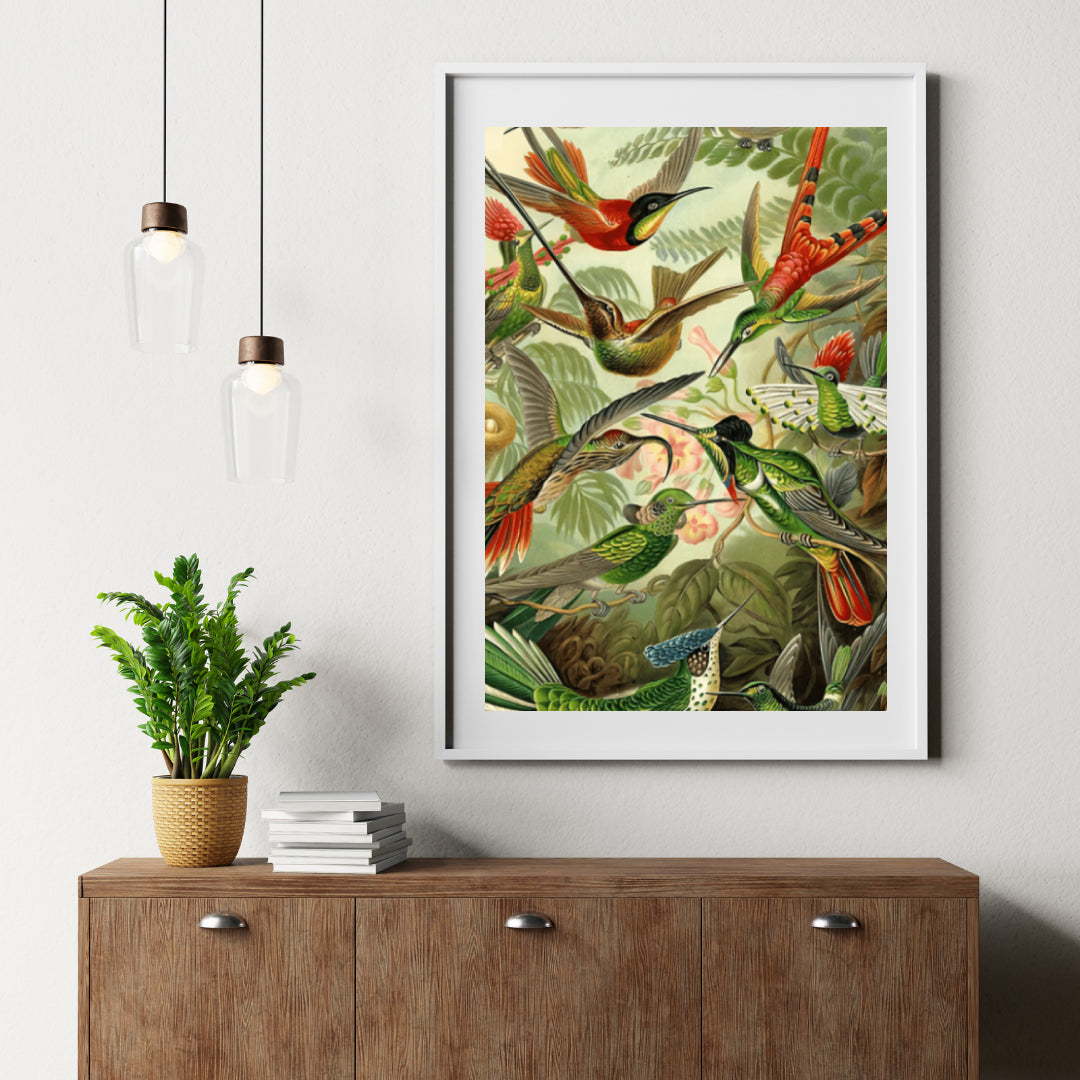 Diamantmalerei Kolibris - SEOS Shop ®