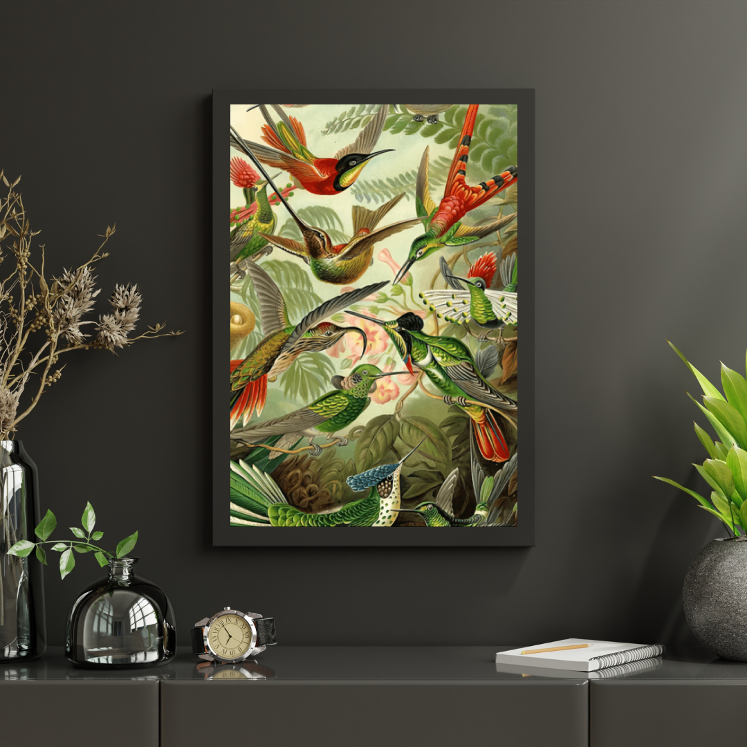 Diamantmalerei Kolibris - SEOS Shop ®