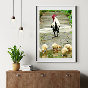 Diamond Painting Chicks - SEOS Shop ®