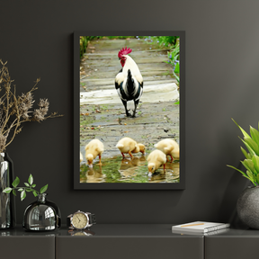 Diamond Painting Chicks - SEOS Shop ®