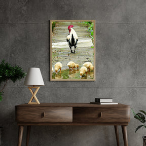 Diamond Painting Chicks - SEOS Shop ®