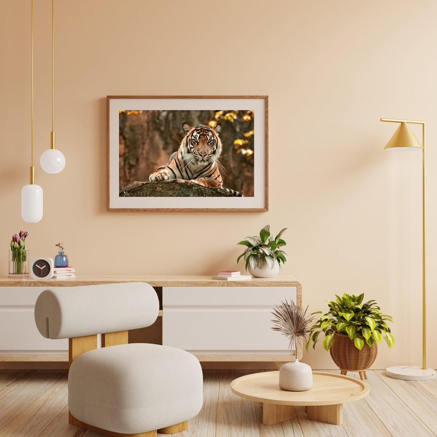 Diamond Painting Liegender Tiger - SEOS Shop ®