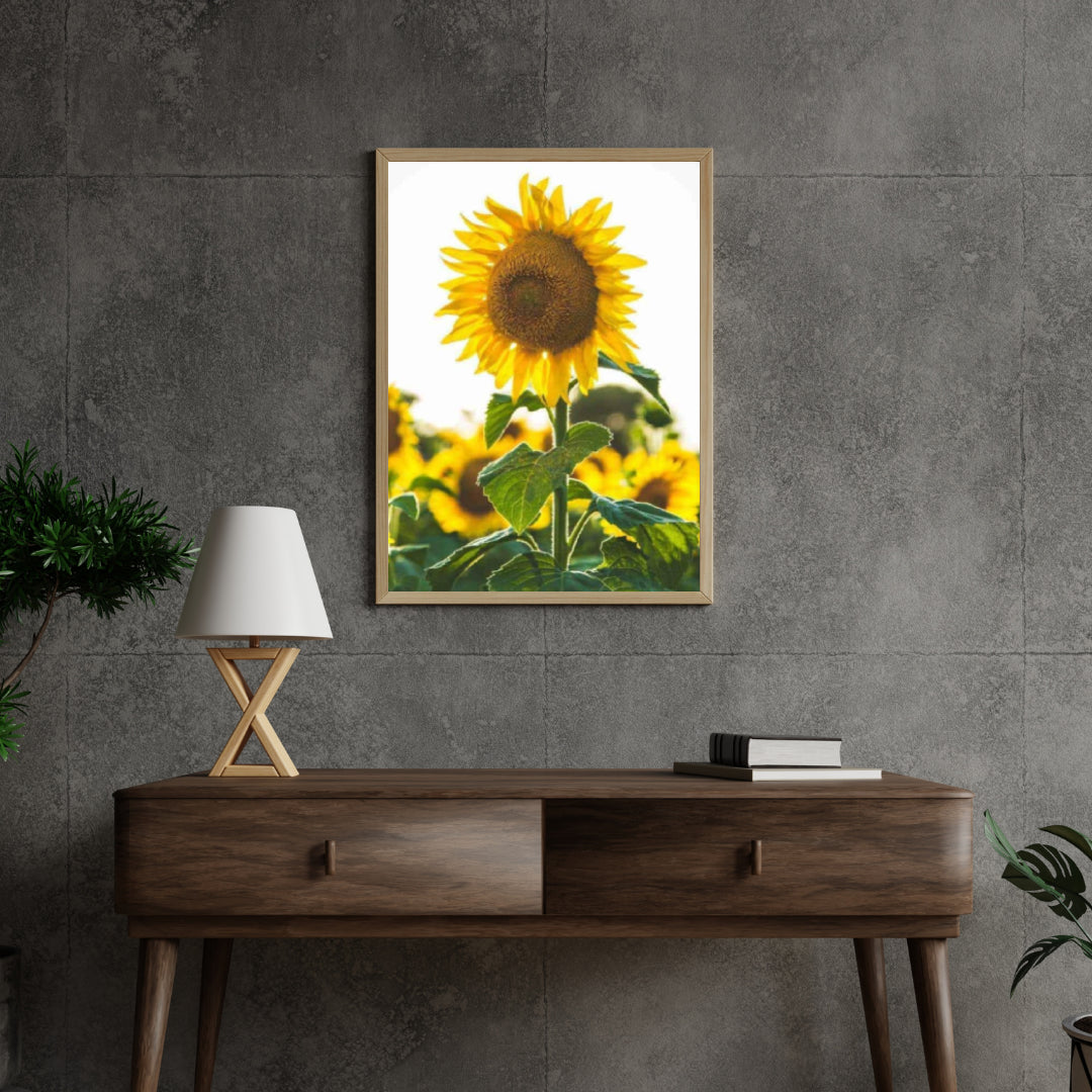 Diamantmalerei Schöne Sonnenblume - SEOS Shop ®
