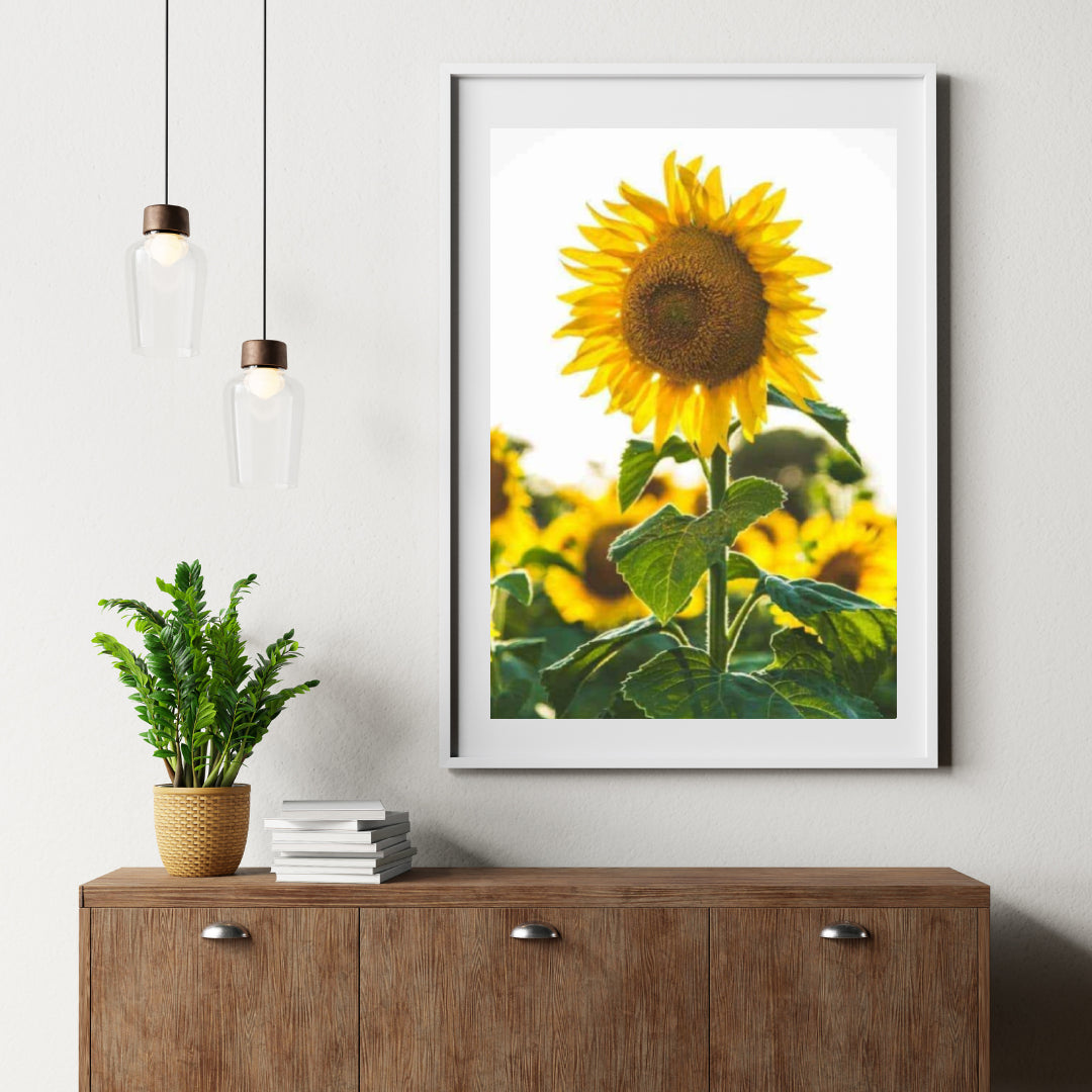 Diamantmalerei Schöne Sonnenblume - SEOS Shop ®