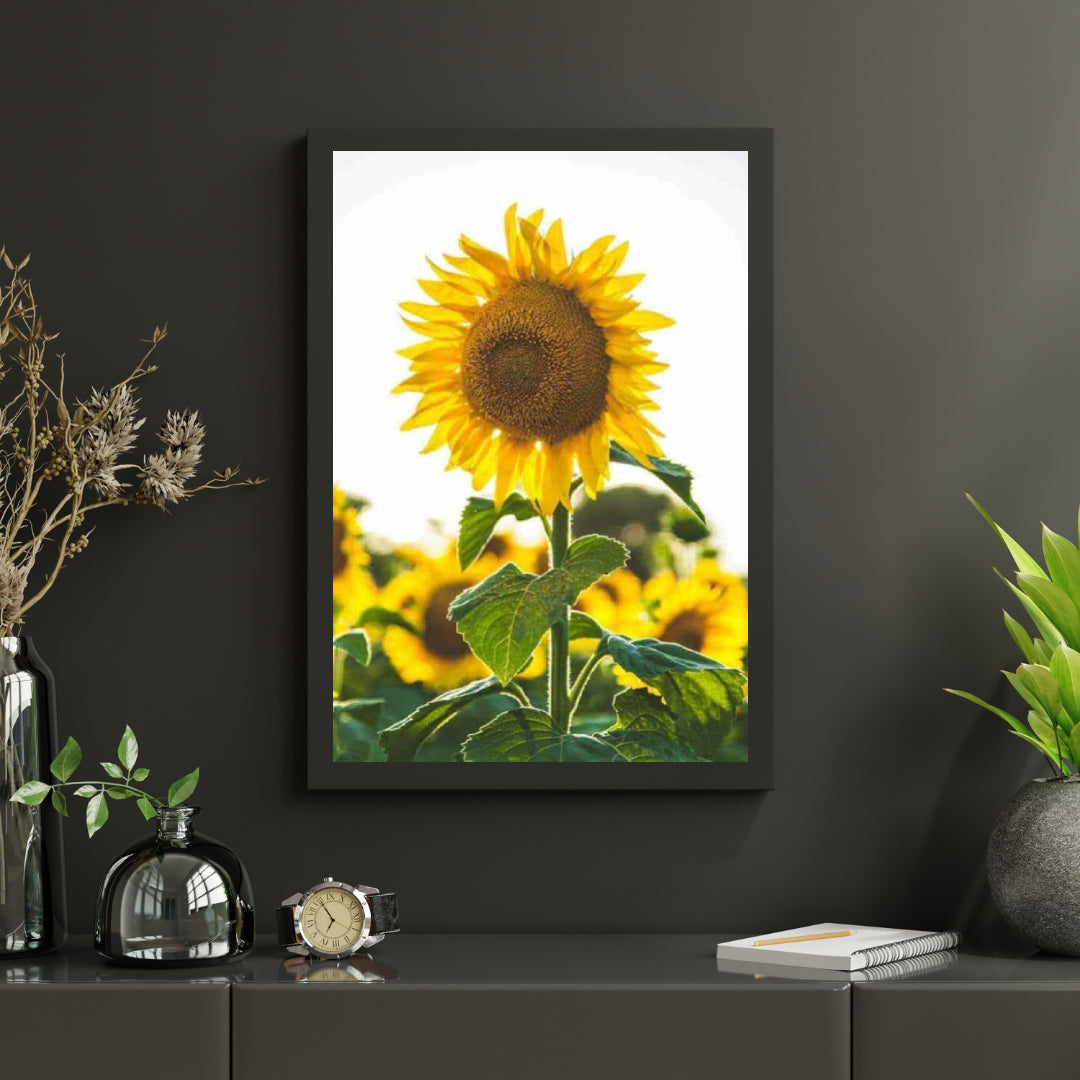 Diamantmalerei Schöne Sonnenblume - SEOS Shop ®