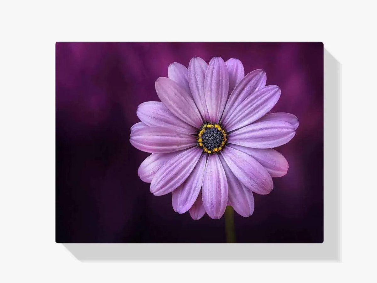 Diamantmalerei Lila Blume - SEOS Shop ®