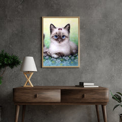 Diamond Painting Paket Katze - SEOS Shop ®