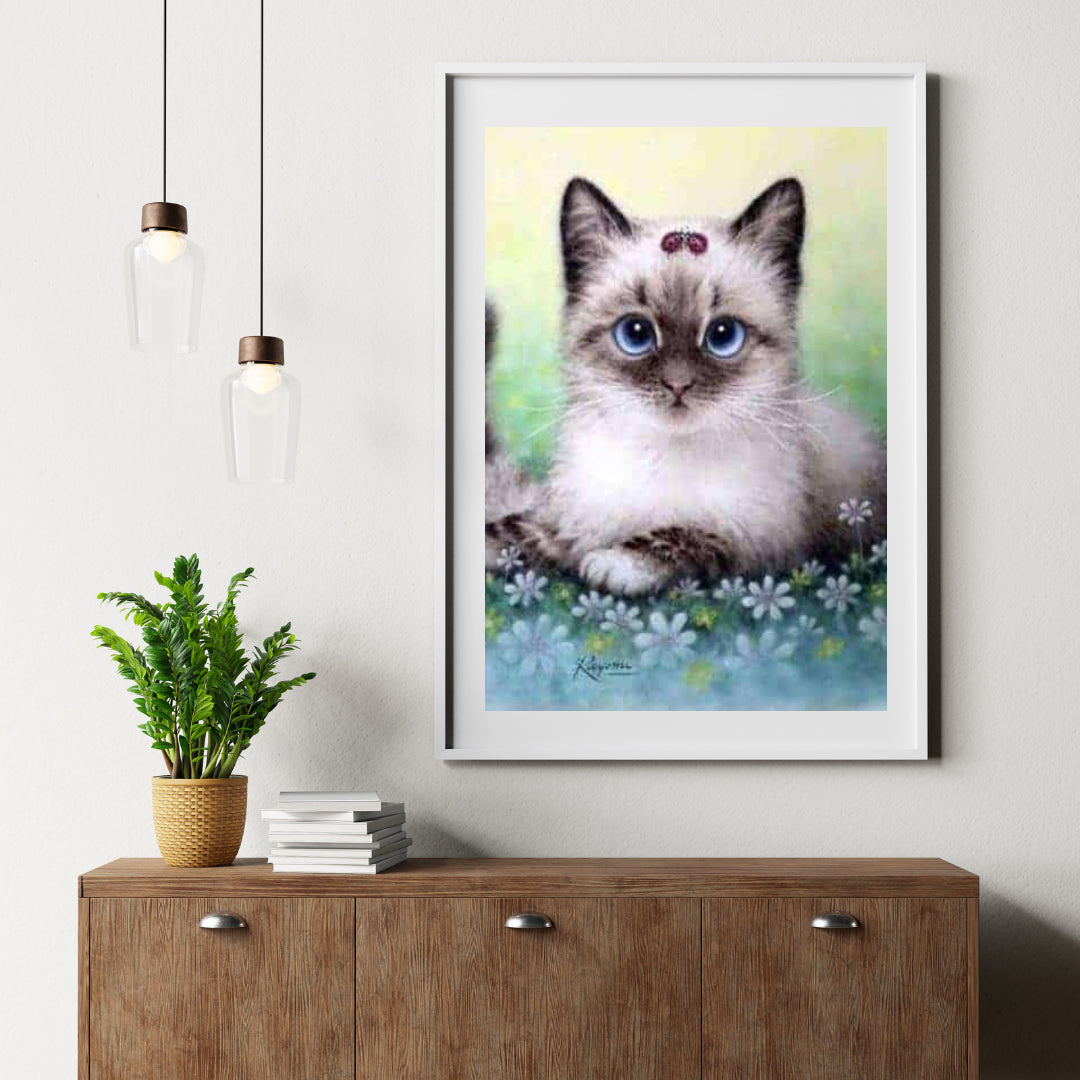 Diamond Painting Paket Katze - SEOS Shop ®