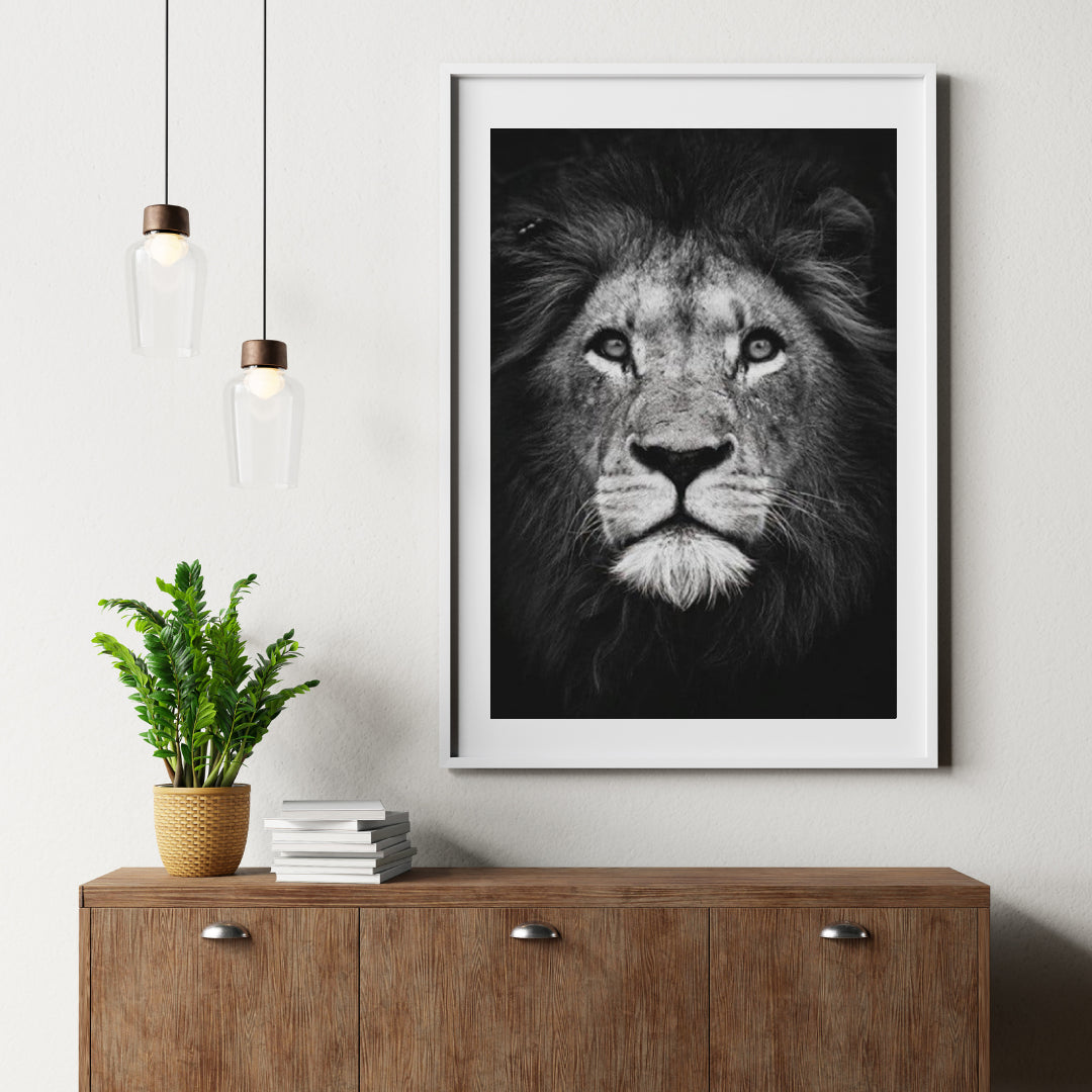 Diamond Painting Paket Schwarz Weißer Löwe - SEOS Shop ®