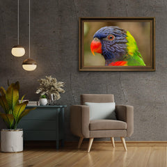 Diamond Painting Papagei - SEOS Shop ®