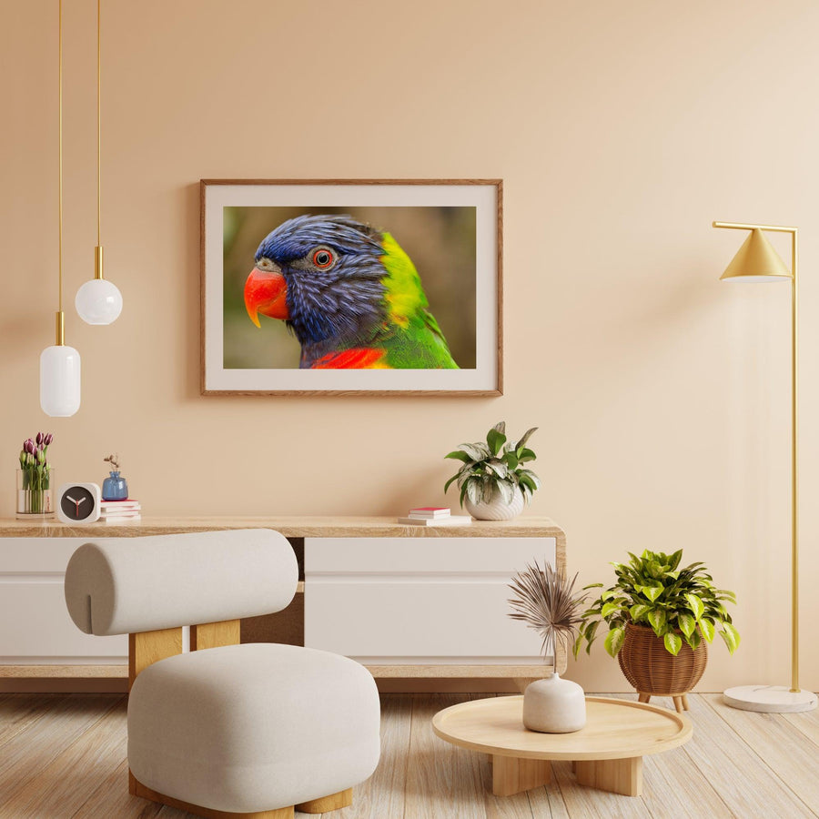 Diamond Painting Papagei - SEOS Shop ®