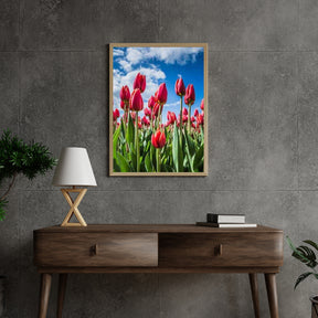 Diamantmalerei Rote Tulpen - SEOS Shop ®
