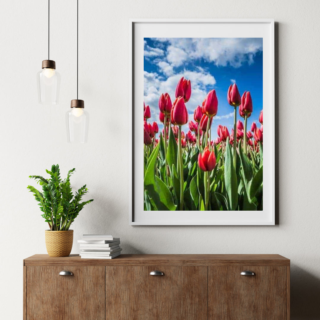 Diamantmalerei Rote Tulpen - SEOS Shop ®