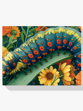 Diamantmalerei Raupe - SEOS Shop ®