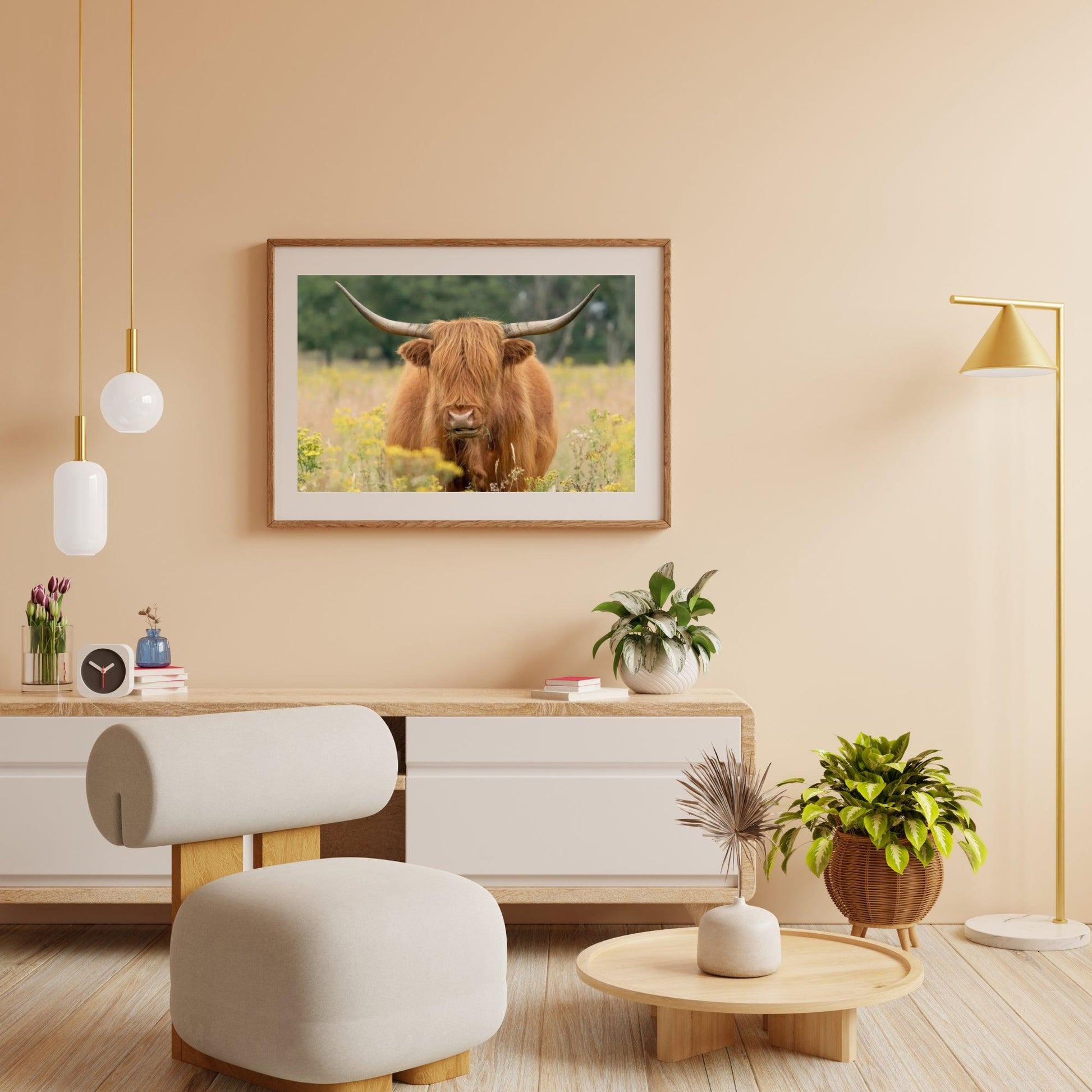 Diamond Painting Scottish Highlander - Wunderschöner Scottish Highlander grast auf der Weide - SEOS Shop ®