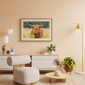 Diamond Painting Scottish Highlander - Wunderschöner Scottish Highlander grast auf der Weide - SEOS Shop ®