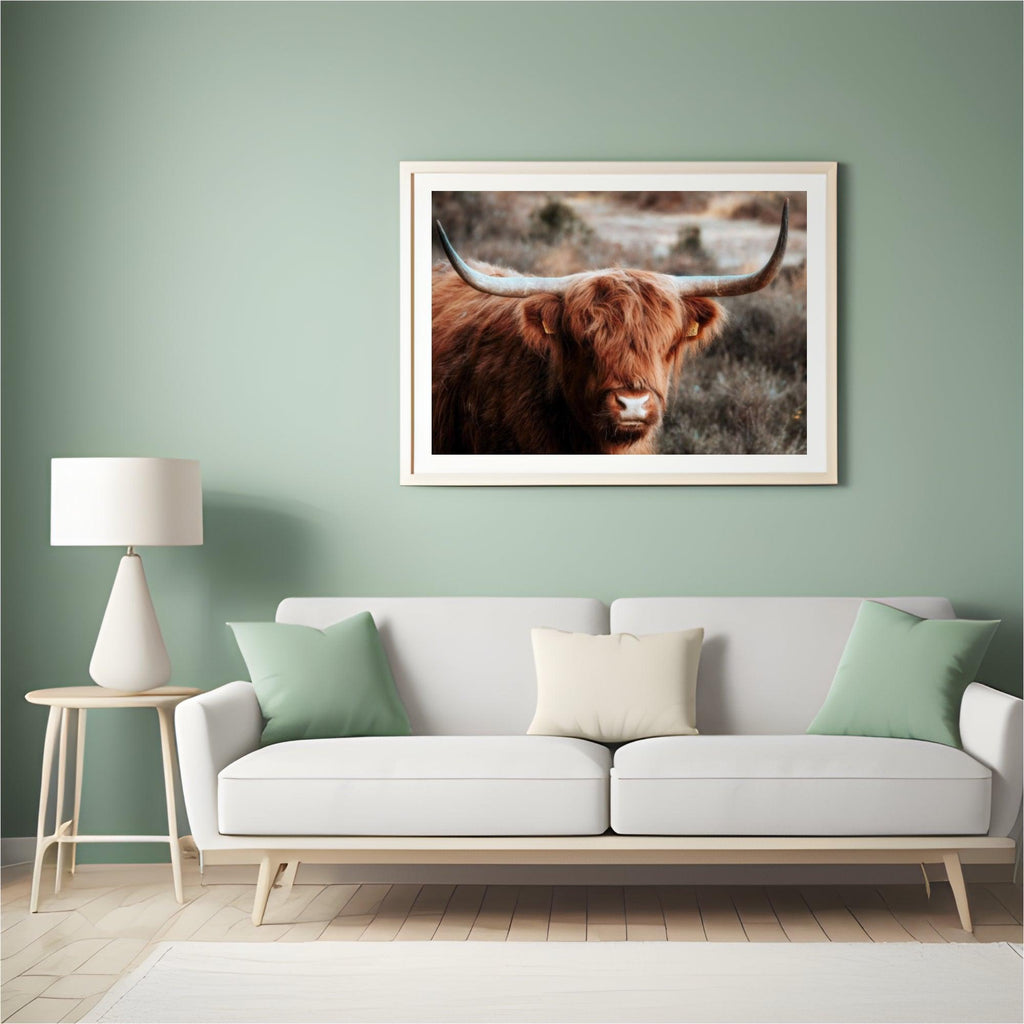 Diamond Painting Scottish Highlander - Neugieriger Scottish Highlander in den Bergen - SEOS Shop ®