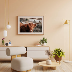 Diamond Painting Scottish Highlander - Neugieriger Scottish Highlander in den Bergen - SEOS Shop ®