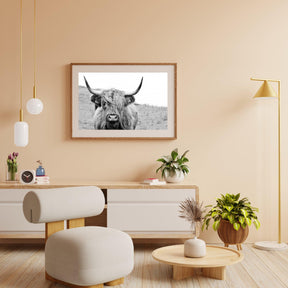 Diamond Painting Scottish Highlander - Porträt eines schottischen Hochlandrinds in Schwarzweiß - SEOS Shop ®