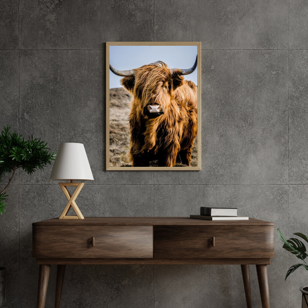 Diamond Painting Scottish Highlander - Portrait des besonderen Scottish Highlander - SEOS Shop ®