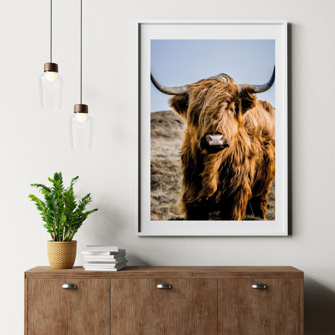 Diamond Painting Scottish Highlander - Portrait des besonderen Scottish Highlander - SEOS Shop ®