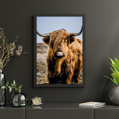 Diamond Painting Scottish Highlander - Portrait des besonderen Scottish Highlander - SEOS Shop ®