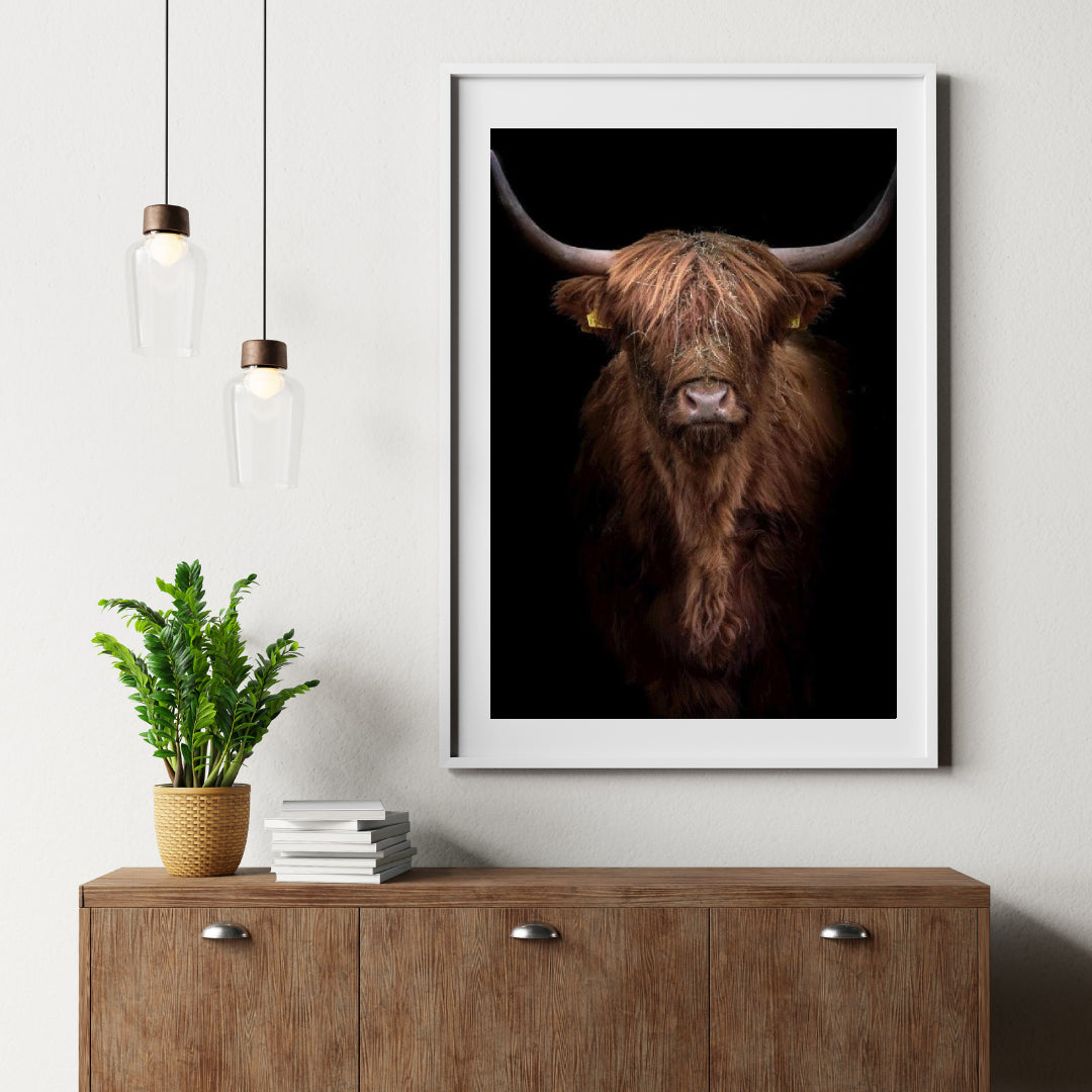 Diamond Painting Scottish Highlander - Rotbrauner Scottish Highlander aus der Nähe - SEOS Shop ®