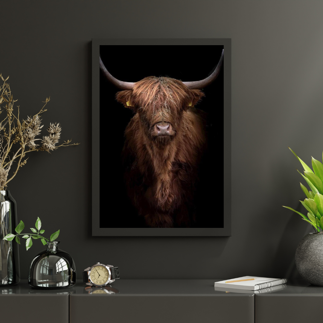 Diamond Painting Scottish Highlander - Rotbrauner Scottish Highlander aus der Nähe - SEOS Shop ®